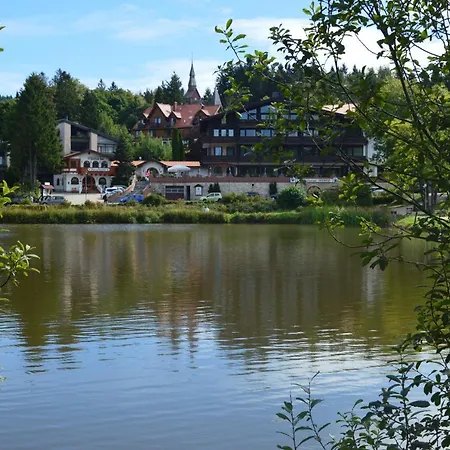 Apartment Hahnenklee